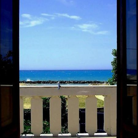 B&B Nettuno 圣莱昂 外观 照片